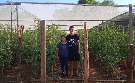 Projekt zielt darauf ab, Schlachtabfälle von Rindern in biologische Betriebsmittel für die landwirtschaftliche Produktion umzuwandeln