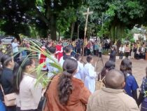 Die Bräuche zum Palmsonntag in Paraguay