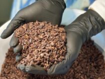 Zum ersten Mal wird in Guairá Schokolade produziert