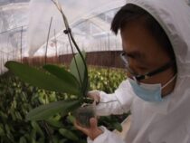 Einbindung von KI in die Landwirtschaft?