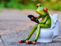 Verbringen Sie viel Zeit auf der Toilette und schauen dabei auf Ihr Mobiltelefon?