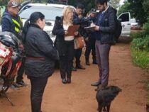Tierquälerei schockiert: Dreijähriger Hund erschossen – Tierschützer fordern Gerechtigkeit