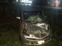 Nächtliche Begegnung der dritten Art: Deutscher kollidiert mit Kühen auf Paraguays Straßen