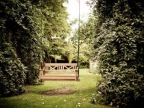 Mit den richtigen Gartengeräten zum Traumgarten: Tipps und Tricks