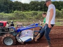 Mehr als eine Karottenplantage: Junge Frau kultiviert Hoffnung in Itapúa