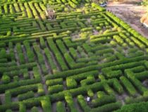 Das Labyrinth im Mennonitendorf wird zur Touristenattraktion