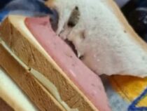 Lehrerin entdeckt anscheinend Marihuana im Pausenbrot einer Vorschülerin
