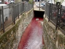 Ignoranz: Bachwasser durch Chemikalien rot gefärbt