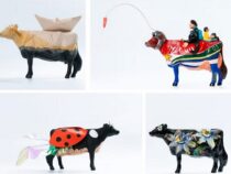 Kunst für kleine Helden: Hoffnung aus jedem Pinselstrich