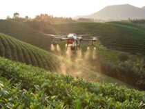 Präzision statt Verluste: Agrar-Drohnen minimieren Flurschäden und optimieren Ernten