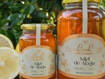 Von der Angst vor Bienen zum Verkauf von Honig