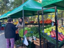 Mehr Farbe für Paraguays Speiseplan: Tipps für eine bessere Ernährungsqualität