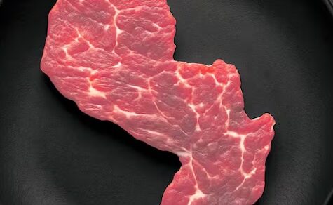 Drei Schlachthäuser kontrollieren 70 % des Marktes