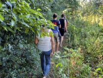 Ethnobotanisches Wandern: Generationentransfer von Ahnenwissen