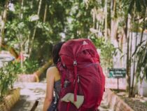 Digitales Nomadentum, Work and Travel & Studieren: Warum ist Paraguay so beliebt dafür?
