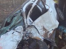 Vogelwild am Steuer: Das tödliche Ego-Problem paraguayischer Kraftfahrer