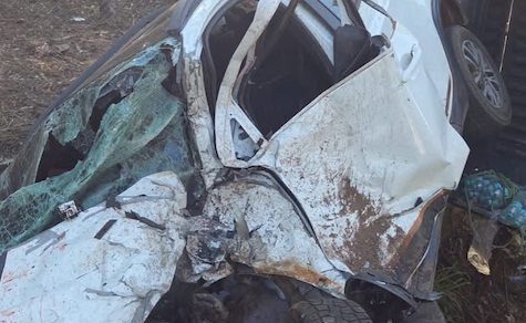 Vogelwild am Steuer: Das tödliche Ego-Problem paraguayischer Kraftfahrer