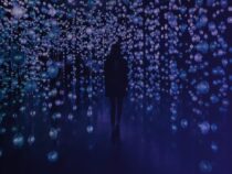 Aura Lumina verwandelt den Parque Seminario in einen immersiven Lichtwald