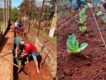 Grüner Ring der Hoffnung: Häftlinge pflanzen sich eine Zukunft