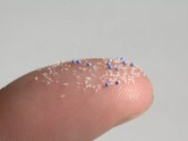 Sonne, Sand und Mikroplastik