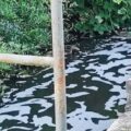 So sieht der Mühlengraben seit Wochen aus: schäumendes Wasser. Außerdem breitet sich ein übler Chemiegeruch aus