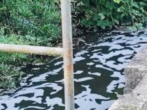 Ungeklärtes Abwasser stinkt nicht nur, es ist auch schädlich für die Gesundheit: Der Ypacarai See sollte uns eine Warnung sein