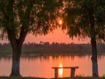 Der Jaguar im Mittelpunkt: Biofestival feiert Artenschutz und Ökotourismus im Pantanal