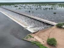 Paraguay wird einen Staudamm ähnlich dem von Bañado la Estrella bauen, um den Wasserstand des Rio Pilcomayo zu regulieren