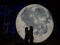 Aura Lumina bringt magischen Lichterwald erstmals nach Paraguay