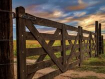 Landbesetzung in Paraguay: Deutscher warnt vor dreistem Betrugs-System