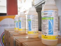 Senepa erhält Insektizid-Lieferung zur Bekämpfung der Aedes aegypti-Mücke