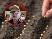 Sojabauern in Sorge: Traumwetter in Itapúa treibt Aussaat voran – doch niedrige Weltmarktpreise drohen die Gewinne zu vernichten