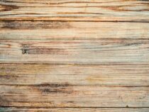 Trittschall wird zum Dauerproblem: Mit diesen Maßnahmen sorgen Mieter für Ruhe