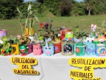 Umweltbildung erreicht erstmals alle Bildungseinrichtungen in Paraguay