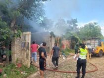 Katastrophe wegen Bienen: Anwohner versuchen Bienennest zu verbrennen und verlieren ihr Zuhause