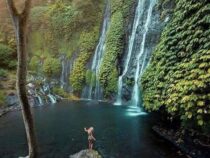 Wo das Wasser singt und die Seele ruht: Ein Ausflug zum Salto Escondido