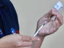 Impfstoff japanischer Herkunft: Dengue-Vakzin zunächst nur für Kinder im Alter von 6 bis 8 Jahren