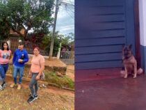 Schäferhund-Attacke in Encarnación: Minderjährige schwer verletzt – Anwohner leben in Angst