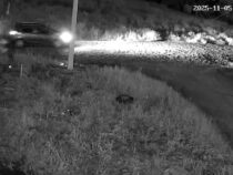 Gewaltsamer Raubüberfall auf Kryptomining-Maschinen fordert zwei Tote und einen Verletzten