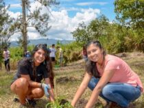 Gegen den Fachkräftemangel: Industrie und Ministerien schaffen neuen Ausbildungsweg für den Forstsektor