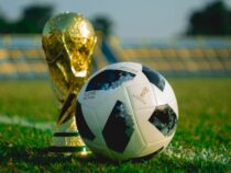 Paraguay bei der WM 2026 in Gruppe D: Ist das Weiterkommen realistisch?