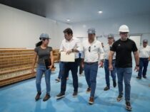 South Atlantic siedelt sich an: Hohenau wird Zentrum für Garnelen-Export nach Europa und USA