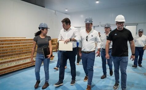 South Atlantic siedelt sich an: Hohenau wird Zentrum für Garnelen-Export nach Europa und USA