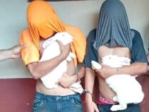 Wie dumm kann man nur sein?