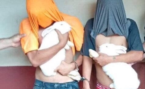 Wie dumm kann man nur sein?