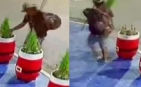 Videos belegen: Gruppen von Dieben stehlen Dekoration – Sorge um Besucher und Touristen in Asunción