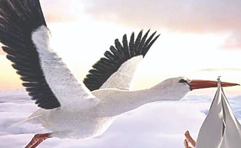 Flaute im Kinderwagen: Warum in Paraguay immer weniger Babys schreien