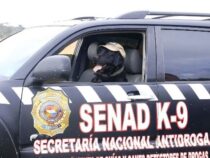 Ein Held auf vier Pfoten: Labrador Rocky erhält Verdienstmedaille in Asunción