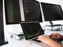 Karriere als IT-Freelancer in Paraguay: Sind Techies hier gefragt?