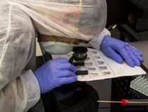 Gegen das Vergessen: Wie moderne Forensik die Identifizierung namenloser Toter erleichtert